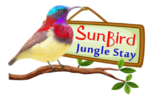 Sunbird jungle Stay